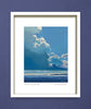 1,000 acres of sky