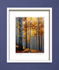 Autumn light