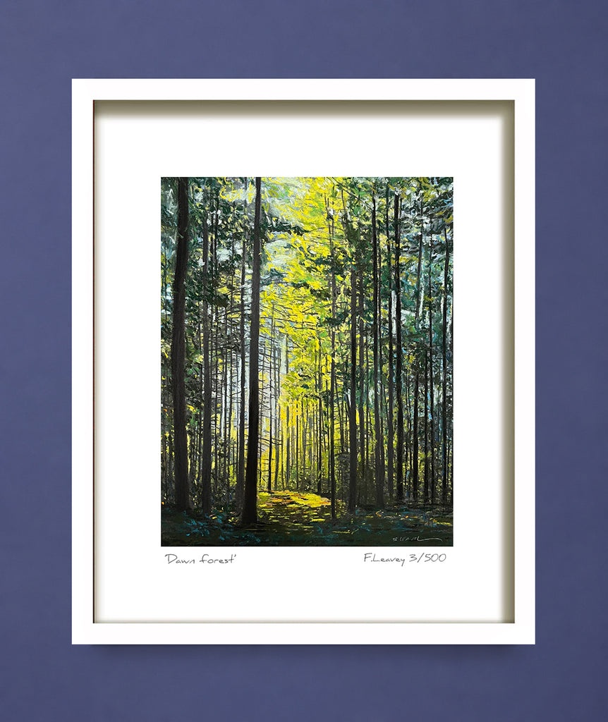 Dawn forest